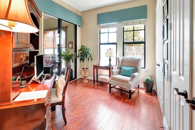 office area featuring wood-type flooring