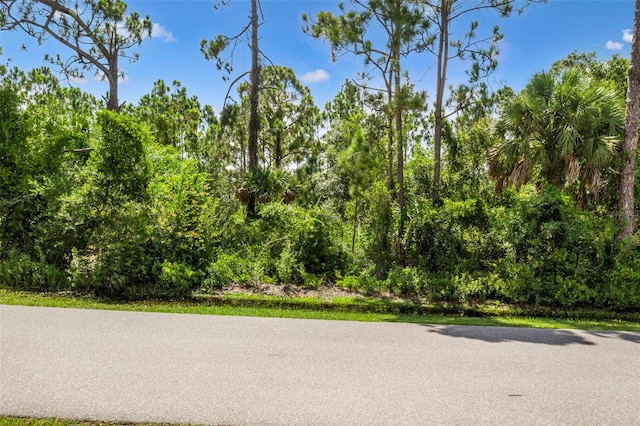 Listing photo 2 for 3319 Vessels Rd, Punta Gorda FL 33980