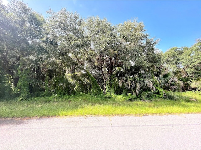 19136 Ruskin Ave, Port Charlotte FL, 33954 land for sale