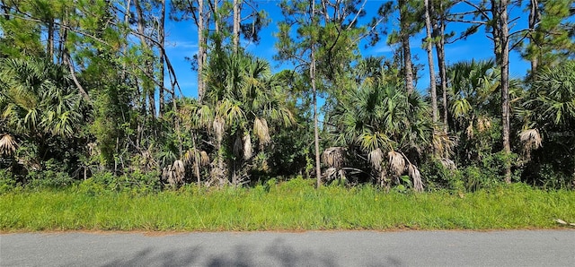 Listing photo 2 for Lummus St, North Port FL 34286