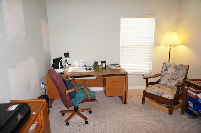 carpeted office space with a wealth of natural light