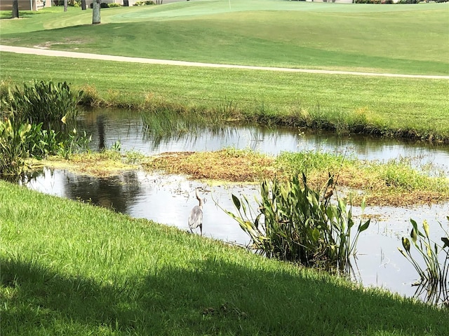 view of water feature