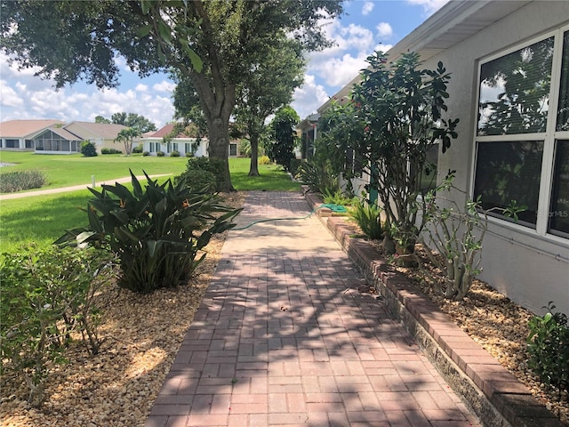 view of community featuring a patio and a lawn