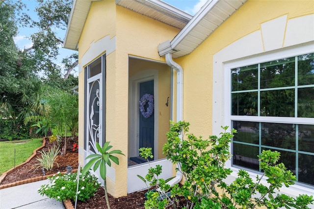 entrance to property featuring stucco siding