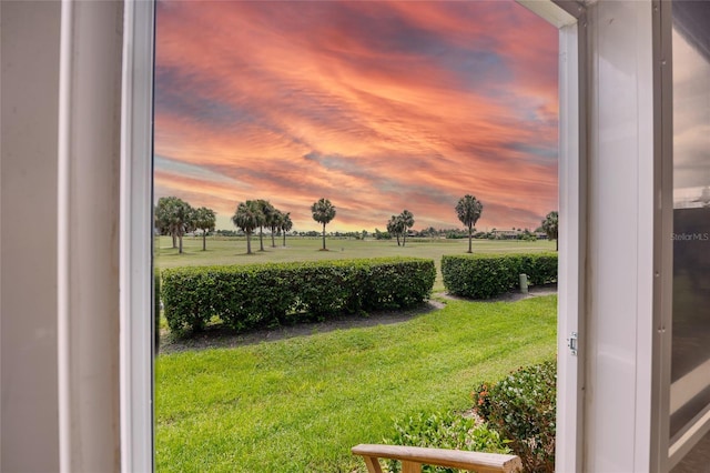 view of yard at dusk