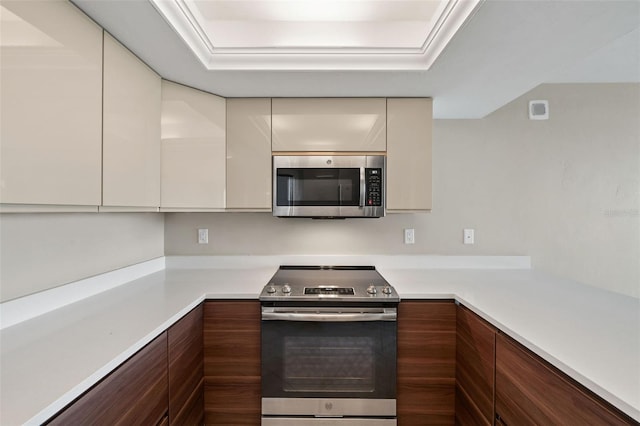 kitchen with a tray ceiling and stainless steel appliances