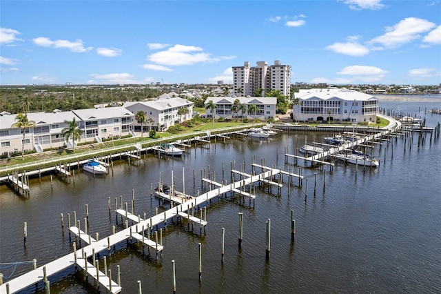 dock area with a water view