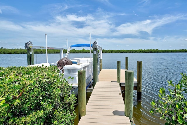 dock area featuring a water view