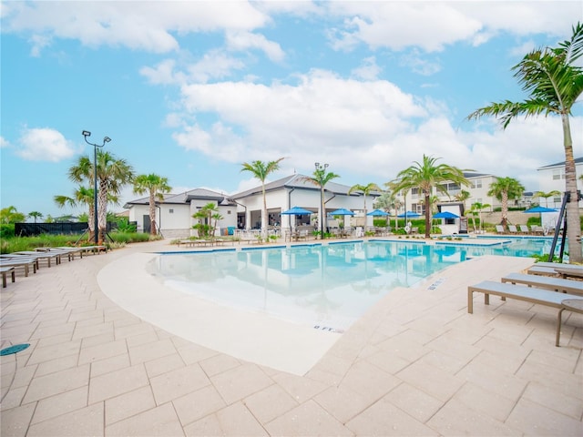 view of swimming pool featuring a patio area