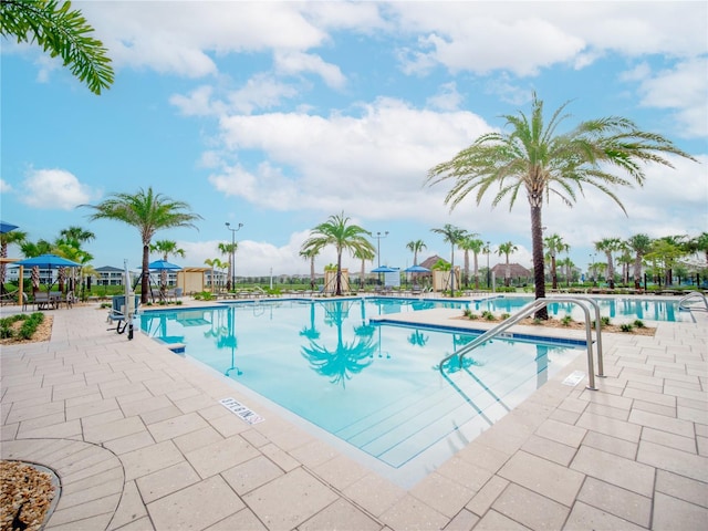 view of pool featuring a patio