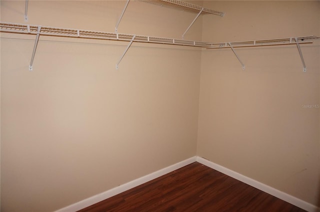 spacious closet featuring hardwood / wood-style floors