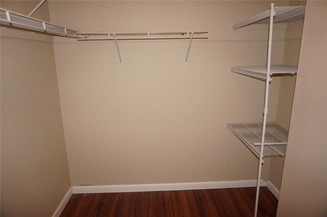 walk in closet with wood-type flooring