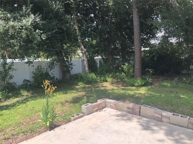 view of yard featuring a patio