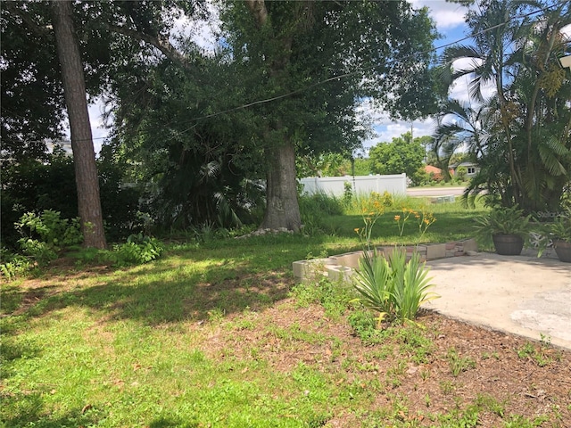 view of yard with a patio area