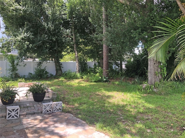 view of yard with a patio