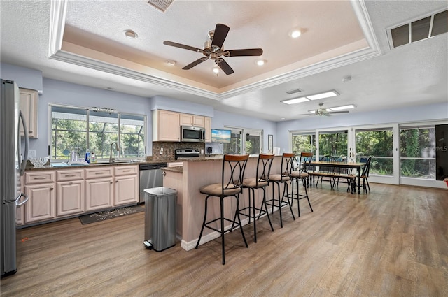 kitchen with a healthy amount of sunlight, a raised ceiling, and light wood-type flooring