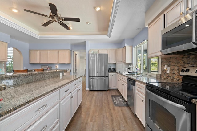 kitchen with light hardwood / wood-style floors, a raised ceiling, appliances with stainless steel finishes, and a wealth of natural light