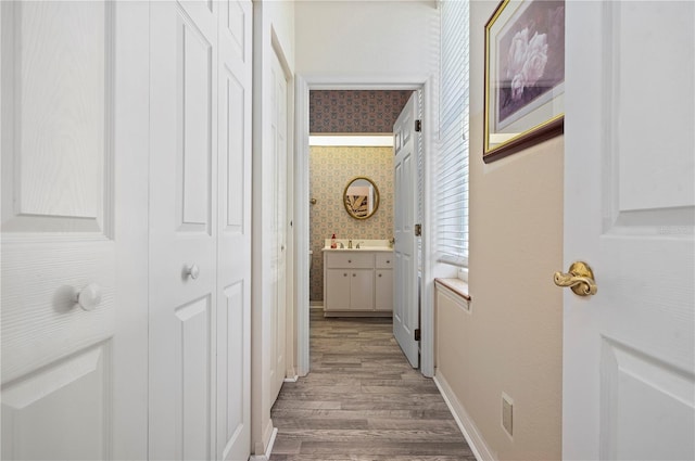 hall featuring sink and wood-type flooring