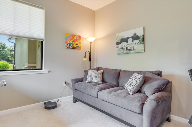 living room with carpet floors