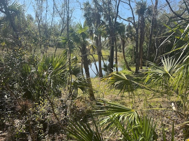 Listing photo 2 for LOT30 New London St, North Port FL 34288