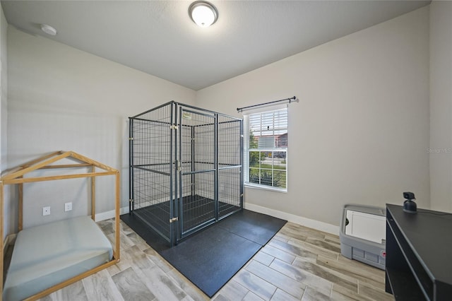 workout area featuring light hardwood / wood-style floors