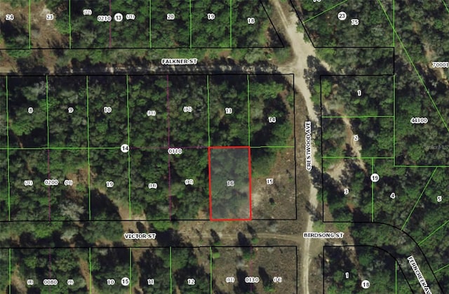 1902 Victor St, Inverness FL, 34453 land for sale