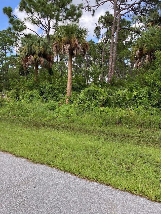 12194 Dietrich Ave, Port Charlotte FL, 33953 land for sale