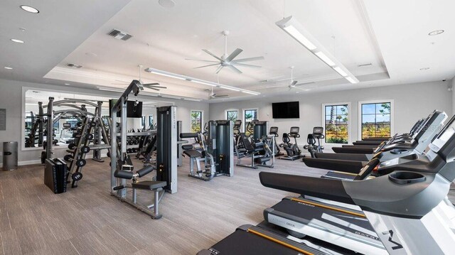 workout area featuring a wealth of natural light, a raised ceiling, and ceiling fan