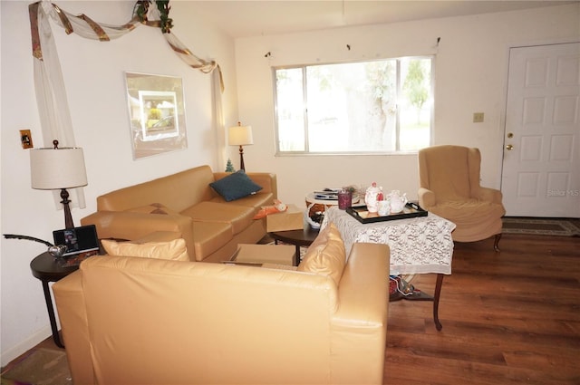 living room with dark wood-type flooring