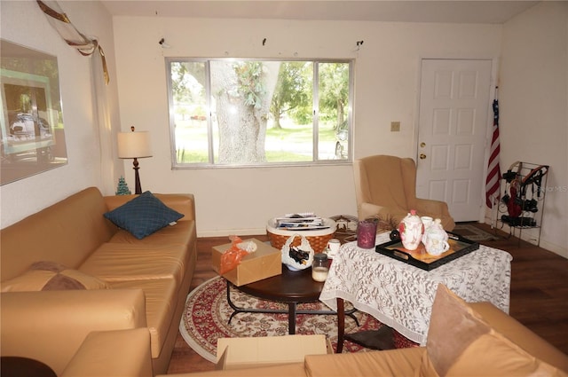 living room featuring plenty of natural light and hardwood / wood-style flooring