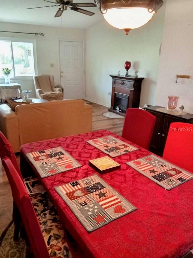 dining space with hardwood / wood-style floors and ceiling fan