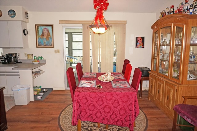 dining room featuring dark wood-type flooring