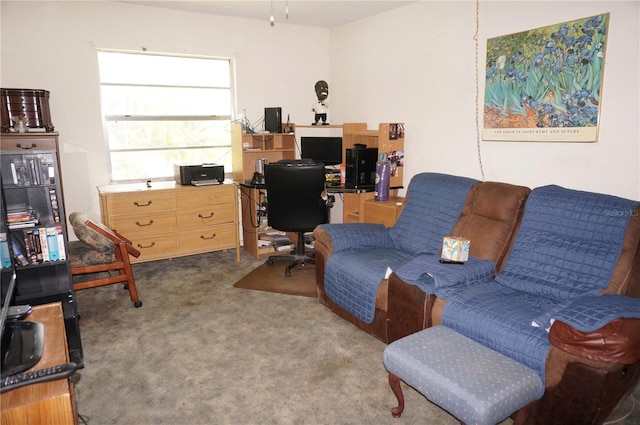 view of carpeted home office