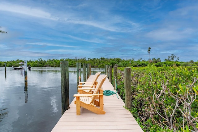 dock area featuring a water view