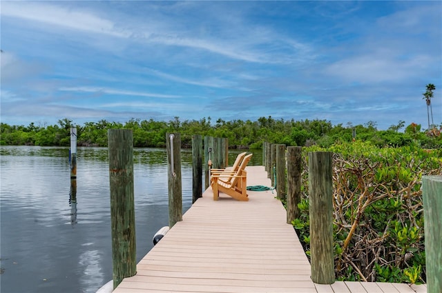 dock area with a water view