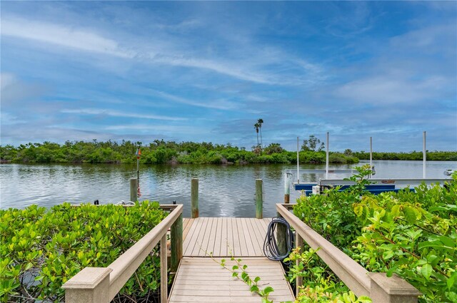 dock area with a water view