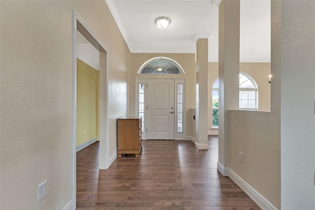 foyer with dark wood-type flooring and ornamental molding