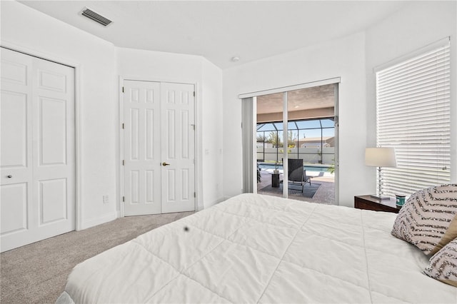 bedroom with carpet, access to exterior, and two closets