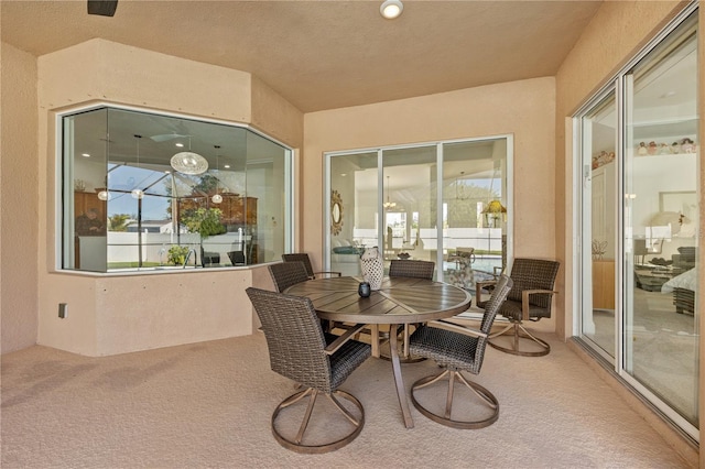 exterior space featuring carpet floors and a healthy amount of sunlight