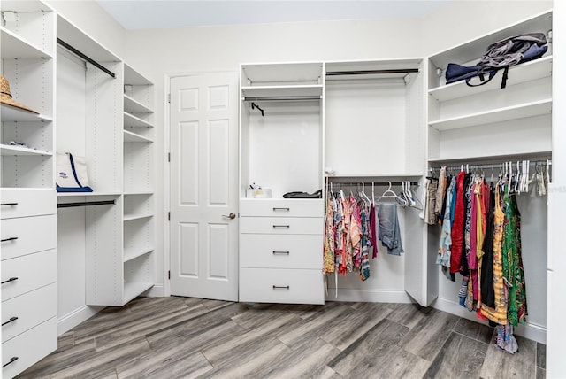 spacious closet with hardwood / wood-style floors