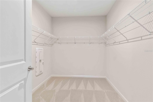 spacious closet featuring carpet floors