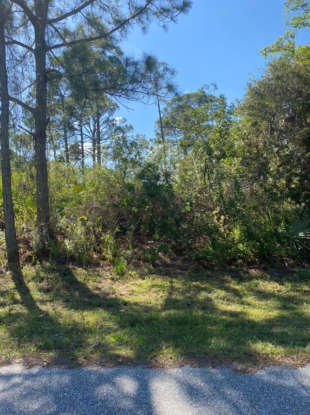 3261 Callisto St, Port Charlotte FL, 33981 land for sale