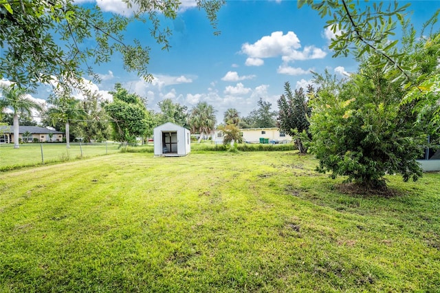 view of yard featuring a shed