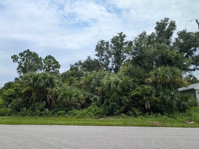 362 Stevensville St, Port Charlotte FL, 33954 land for sale