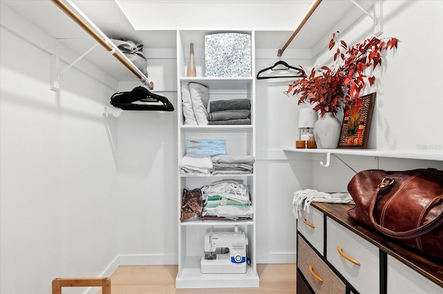 spacious closet featuring light hardwood / wood-style flooring