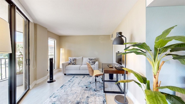 living room featuring baseboards and light wood-style floors