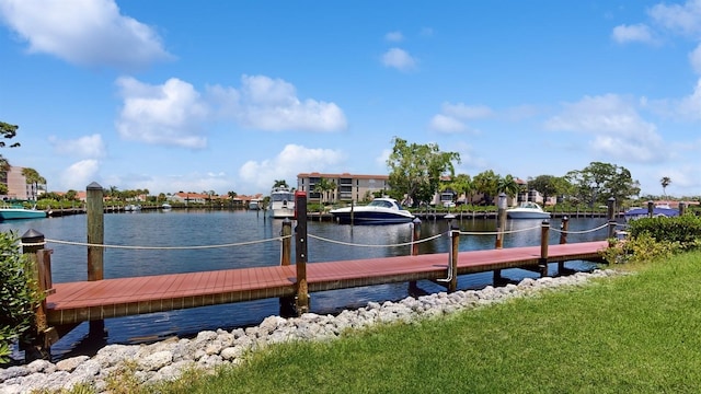 dock area with a water view