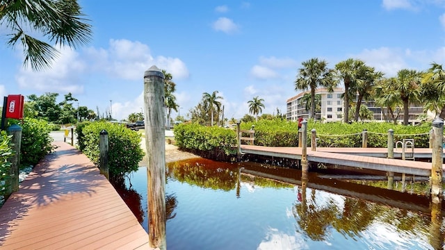 dock area with a water view