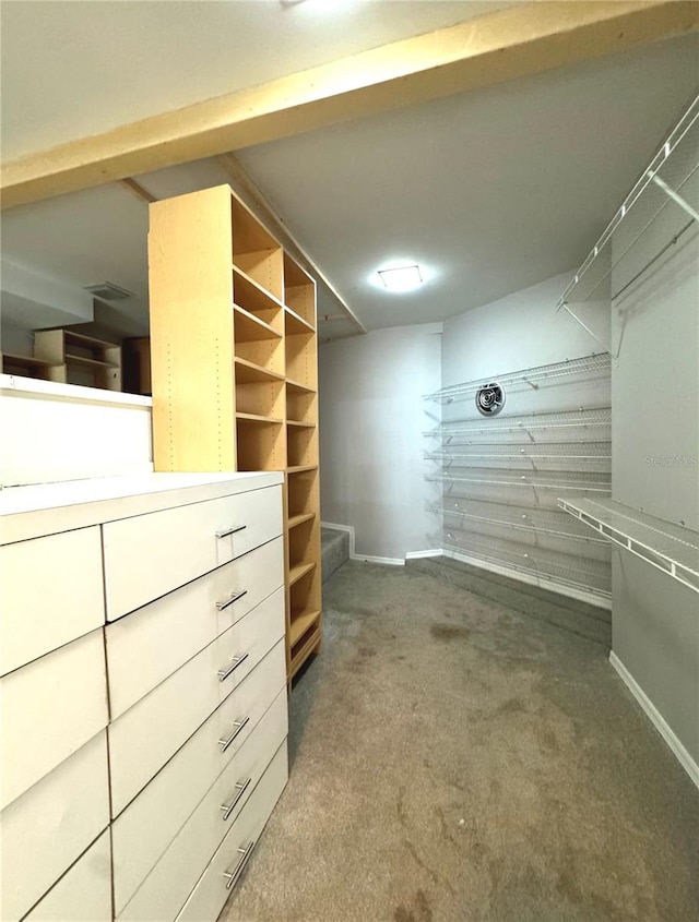 spacious closet with carpet flooring