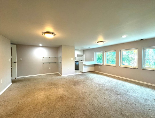 basement featuring light colored carpet